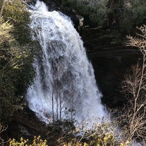 Meet your Posher, Pam